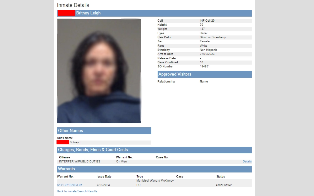 A screenshot of a sample Inmate Details reports when an individual does an inmate search through the Judicial Online Search platform, showing the inmate's mugshot, name, charges, warrants, other names, personal description, and other information.