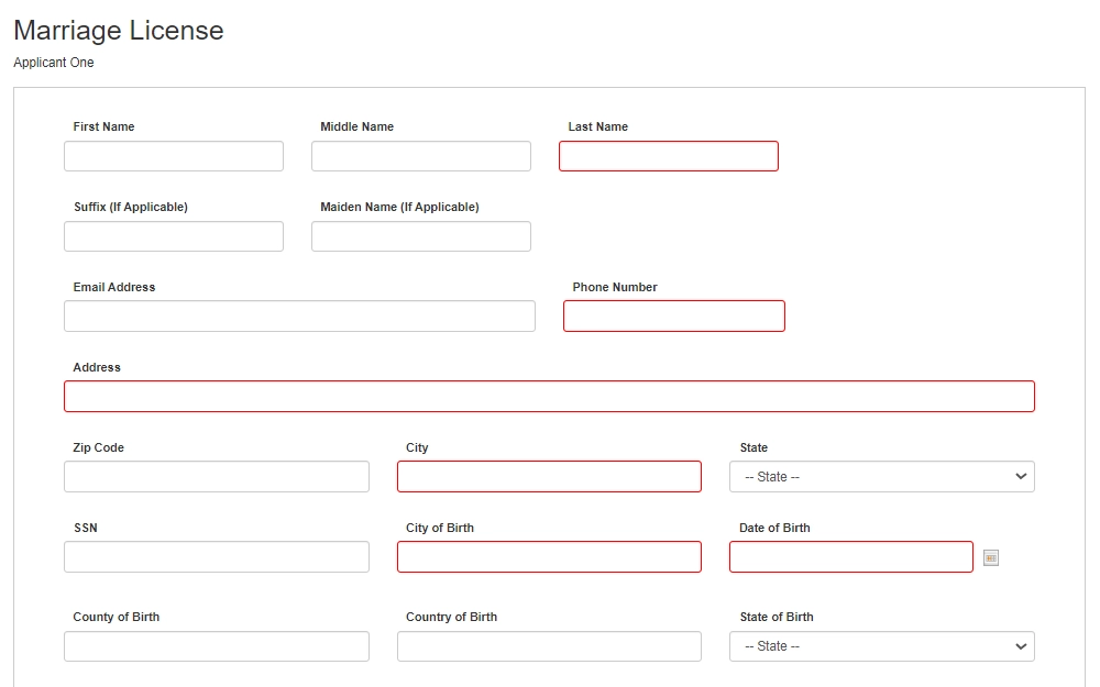 Screenshot of a section of the online application form showing fields for an applicant information.
