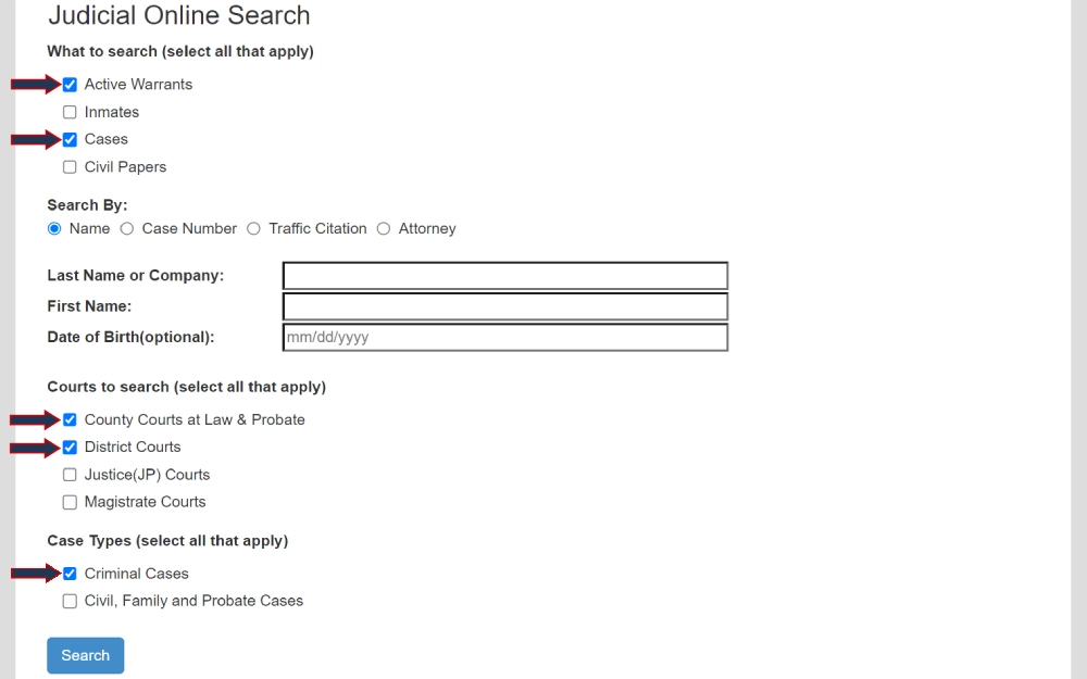 A form for querying court records, with options to filter by active warrants, cases, and civil papers, and fields to enter a name or company, first name, and optional date of birth, with checkboxes to select from various court types and case types for a comprehensive search.