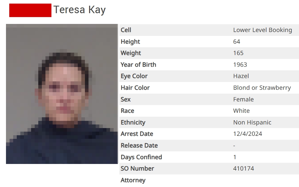 A screenshot of the inmate profile from the offender search tool hosted by the Collin County Sheriff's Office, which includes the prisoner's full name, cell number, birth year, physical description, arrest information, approved visitors, aliases, distinguishing marks, charges, and warrants.